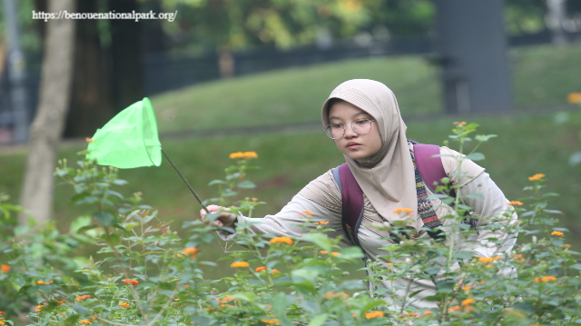 Mengamati Flora dan Fauna di Tebet Sampai Pontianak: Petualangan Ekologis yang Menakjubkan